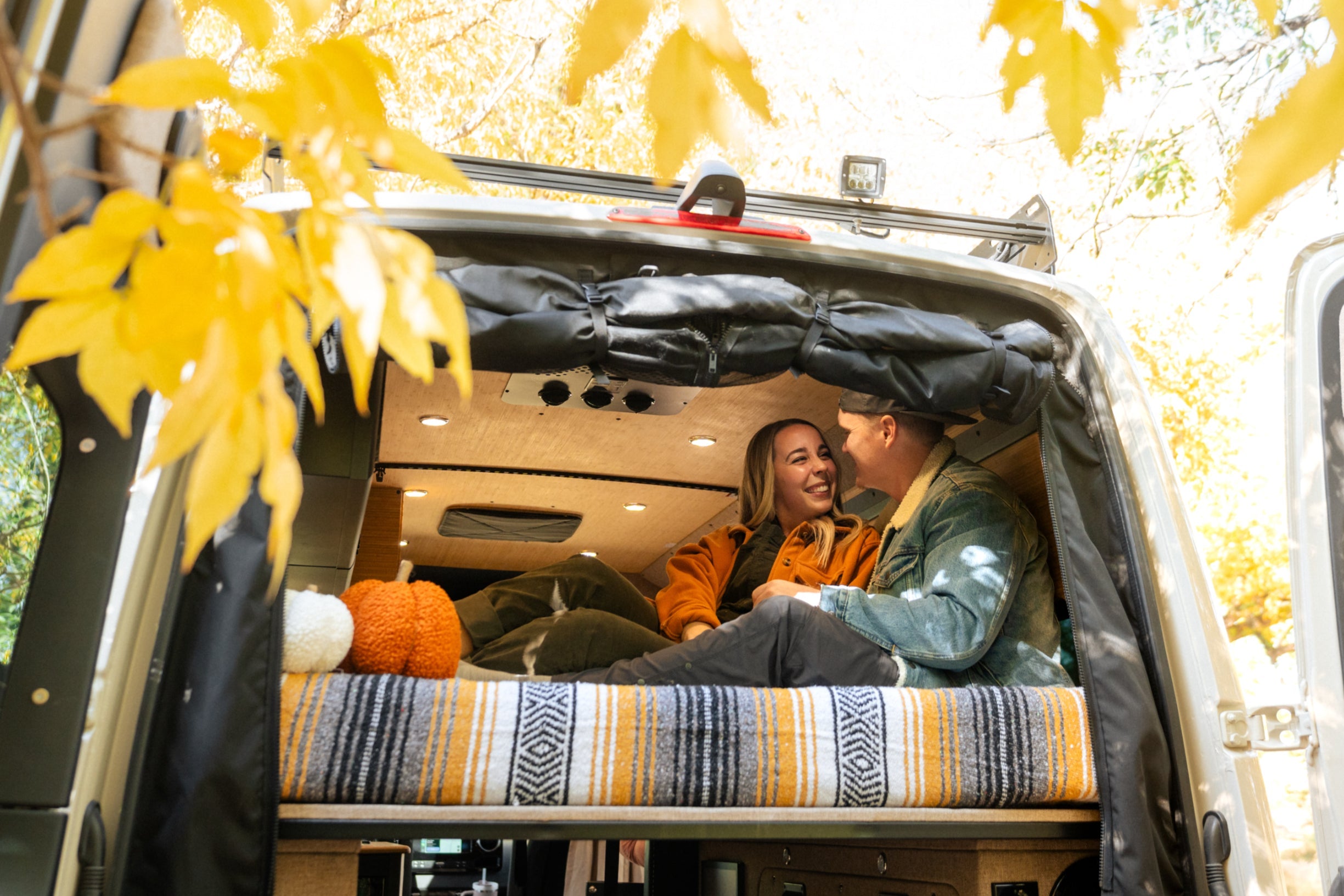 VanEssential Mercedes Sprinter Rear Door Bug Screen | No-See-Um Mesh for Van Life