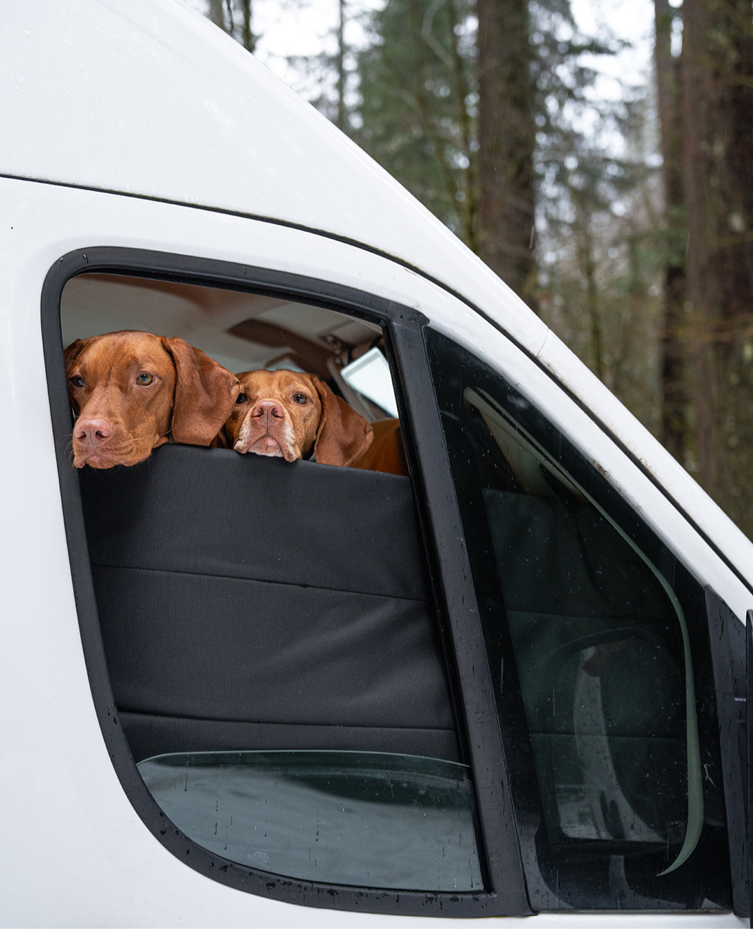 Ram Promaster Stealth Front Door Window Covers (Pair)