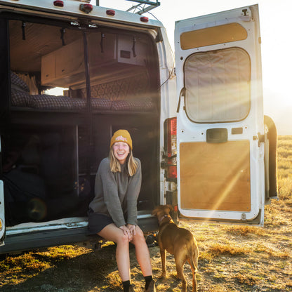 Ram Promaster Stealth Rear Door Window Covers (Pair)
